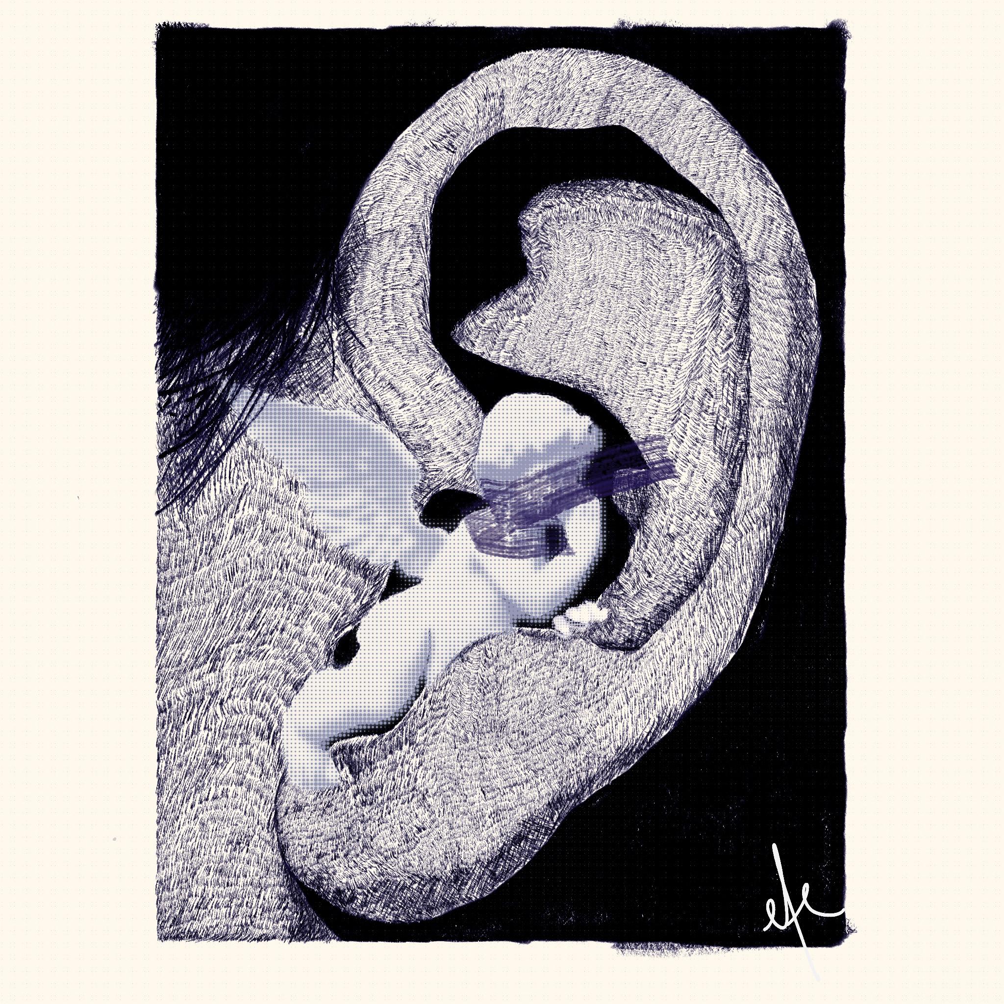 Artwork image: ANC