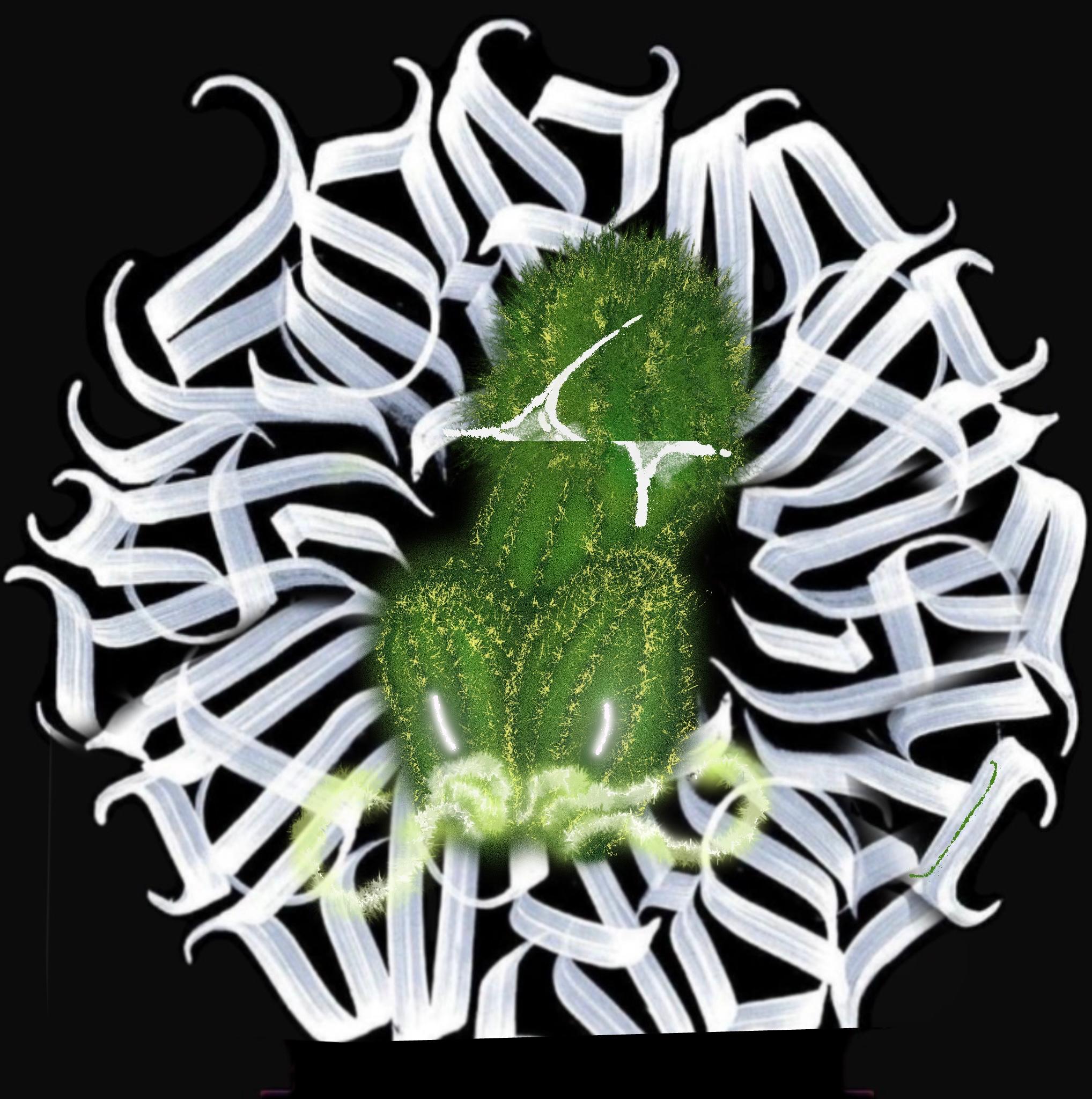 Artwork image: COCKTUSAFTER