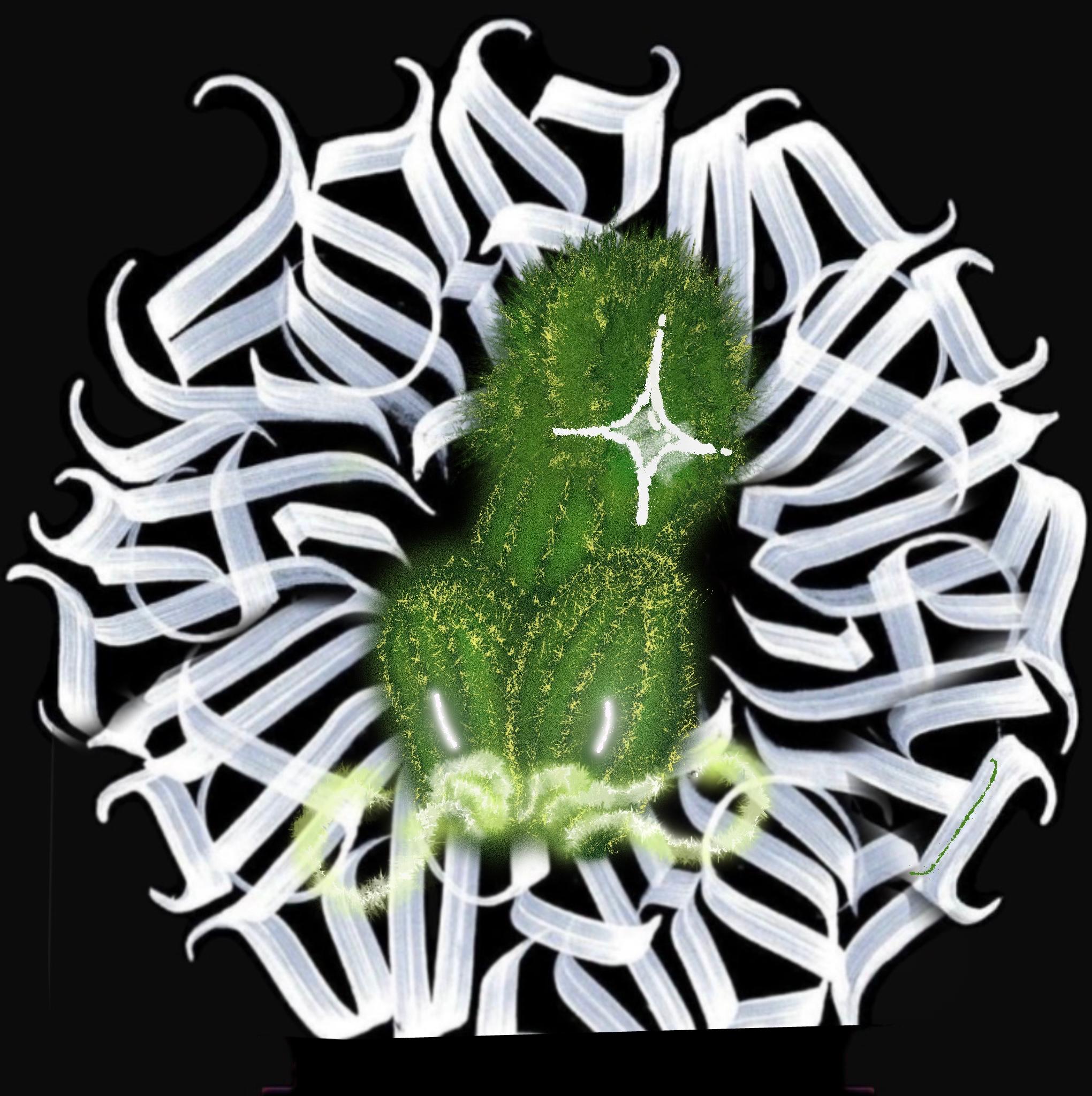 Artwork image: COCKTUSBEFORE